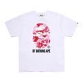 B4PE TEE