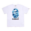 B4PE TEE